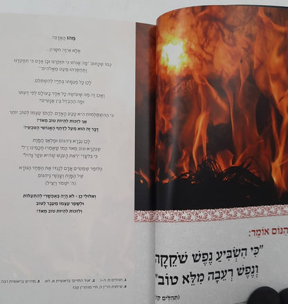 שיר פשוט - פרק שירה / על פי משנת רבי נחמן מברסלב