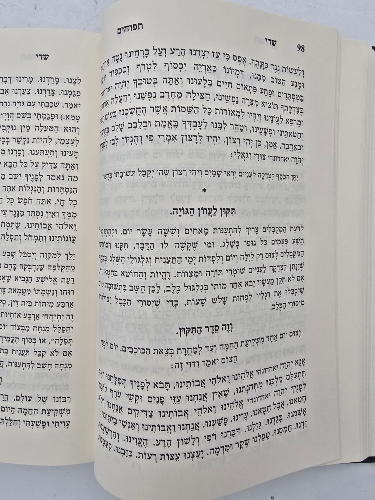 שדי תפוחים המסודר א-ב / תיקונים ותפילות