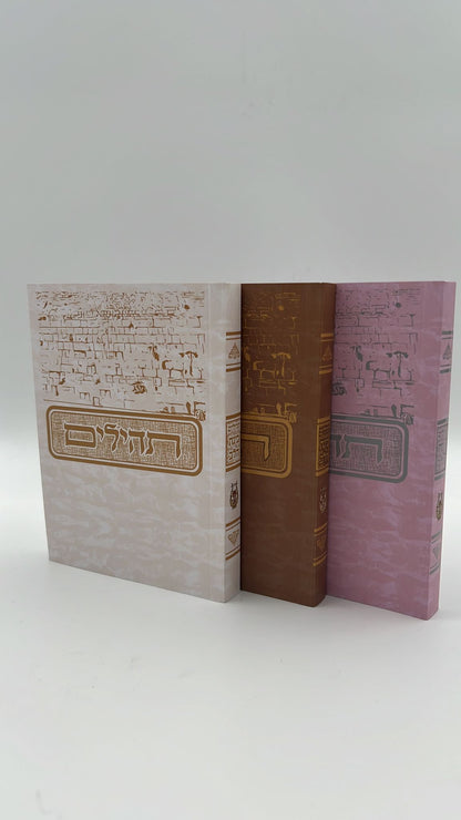 תהילים בינת הלב בעיטור הכותל המערבי - מגוון צבעים פורמט קטן (כריכה רכה)