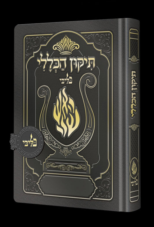 תיקון הכללי מגנט - הנבל עם האש שלי צבע אפור עכבר פורמט בינוני / בליבי