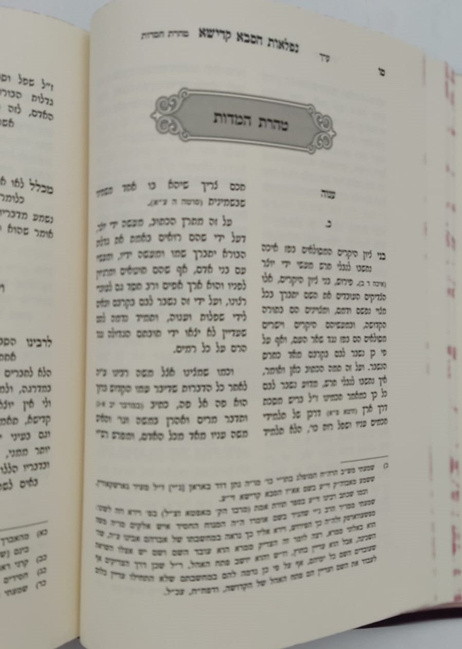 נפלאות הסבא קדישא מראדושיץ - כרך א' / על התורה ומועדים