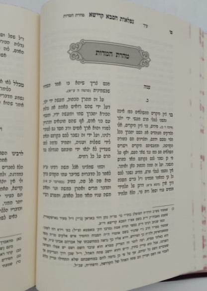 נפלאות הסבא קדישא מראדושיץ - כרך א' / על התורה ומועדים