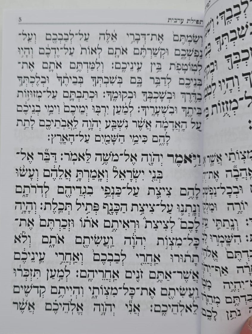 קינות אור חדש - נוסח אשכנז כריכה רכה / פורמט בינוני