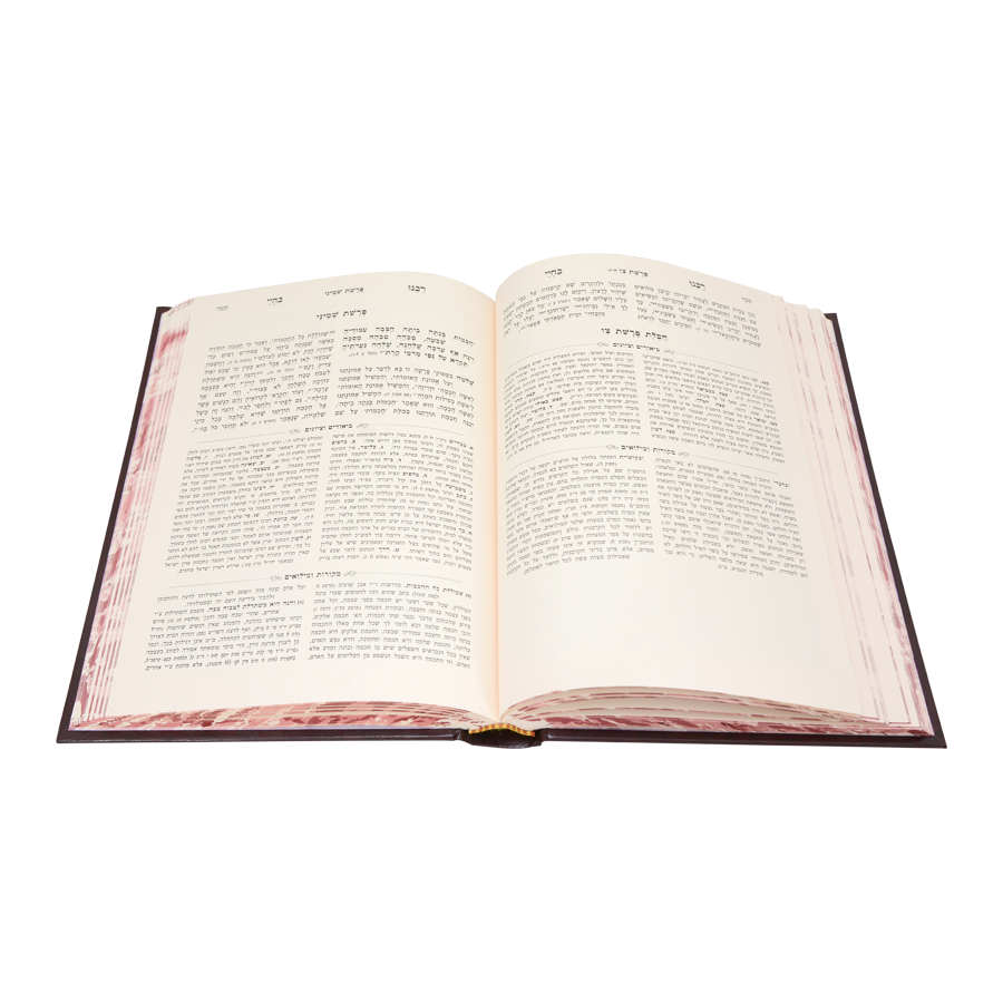 רבינו בחיי המבואר - שמות א' / עוז והדר