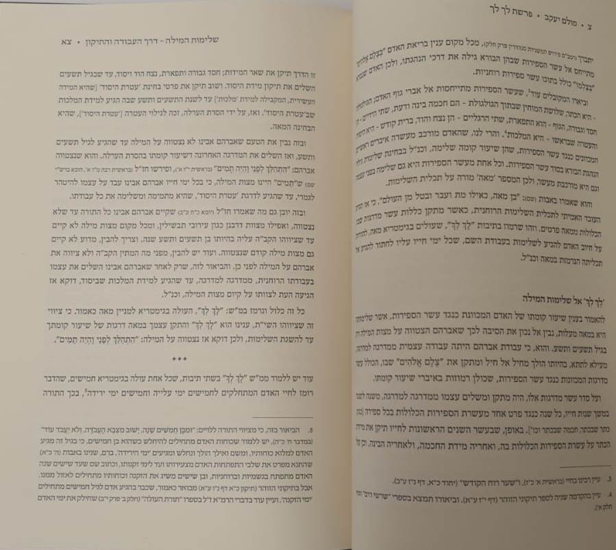 סולם יעקב - ספר בראשית / ר' יעקב משה הלל