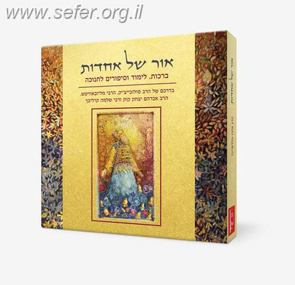 אור של אחדות / הרב אהרן גולדשיידר