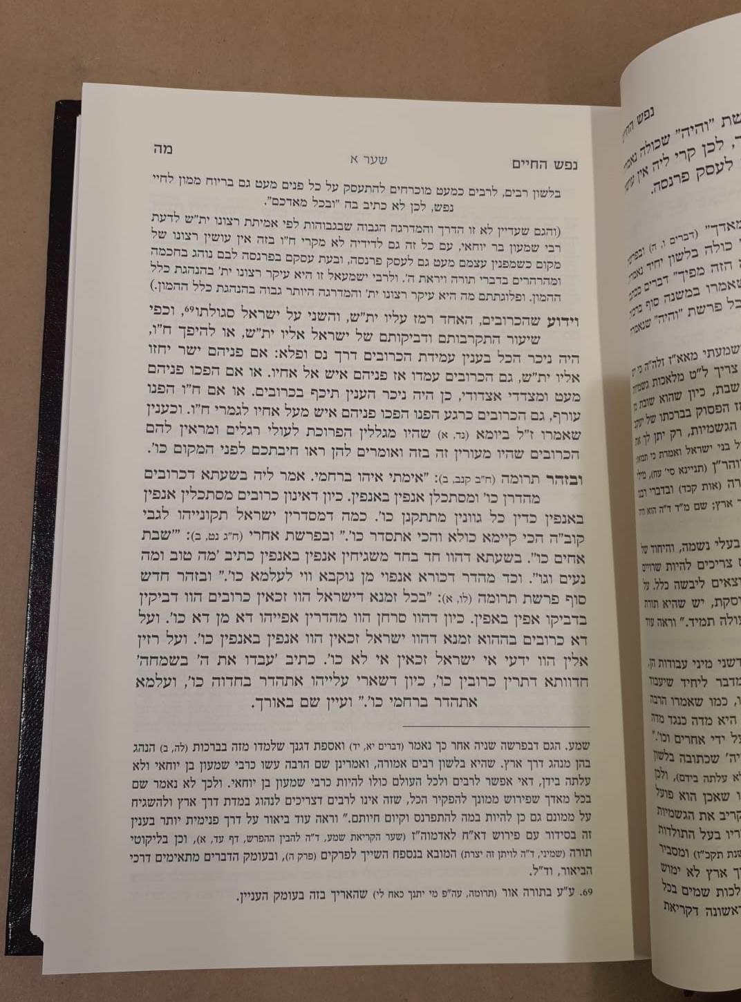 נפש החיים - עם מעיין חיים