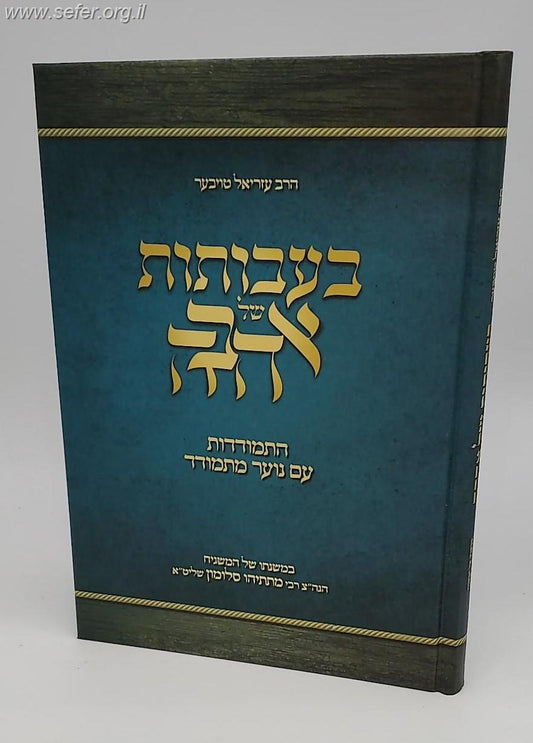 בעבותות של אהבה - התמודדות עם נוער מתמודד / הרב עזריאל טויבער