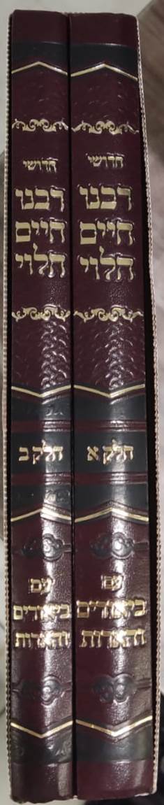 חידושי רבינו חיים הלוי - על הרמב”ם עם ביאורים והארות ב' כרכים