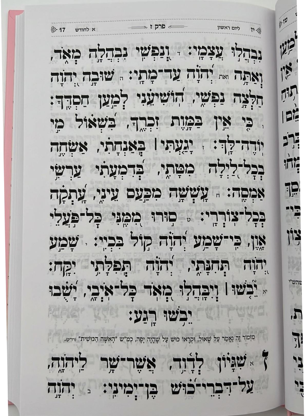 תהילים בינת הלב - כריכת סקאי ורוד / פורמט בינוני