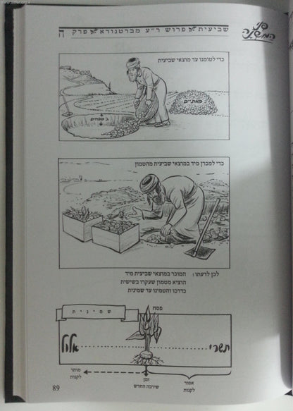 משניות מצויירות - מסכת שביעית / פני המשנה