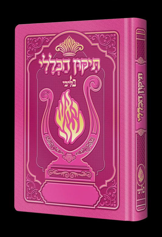 תיקון הכללי המהודר - הנבל עם האש שלי צבע פוקסיה פורמט בינוני / בליבי