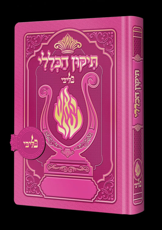 תיקון הכללי מגנט - הנבל עם האש שלי צבע פוקסיה פורמט בינוני / בליבי