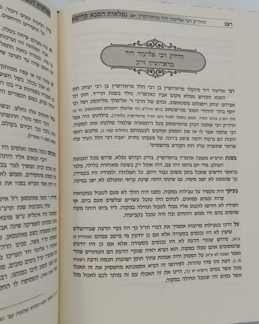 נפלאות הסבא קדישא מראדושיץ - כרך א' / על התורה ומועדים