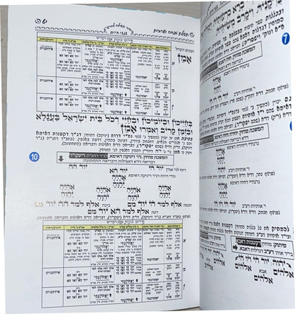גנזי חיים - סידור הרש"ש מנחה וערבית של חול / פורמט קטן