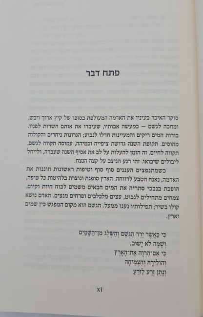 ושלח את הגשם / בריינה יוכבד לוי