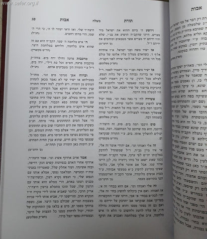 תורת אבות - מאמרים על התורה והמועדים ושערי עבודת ה' / שושלת חסידות סלונים