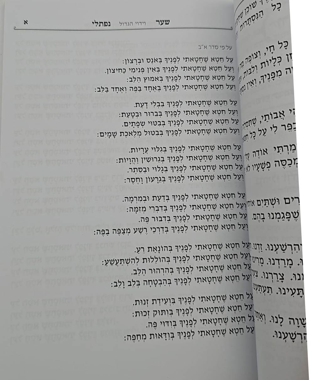 שער נפתלי - וידוי הגדול לרבינו נפתלי כ"ץ זצוק"ל / (הינוקא) רבנו שלמה יהודה בארי שליט''א