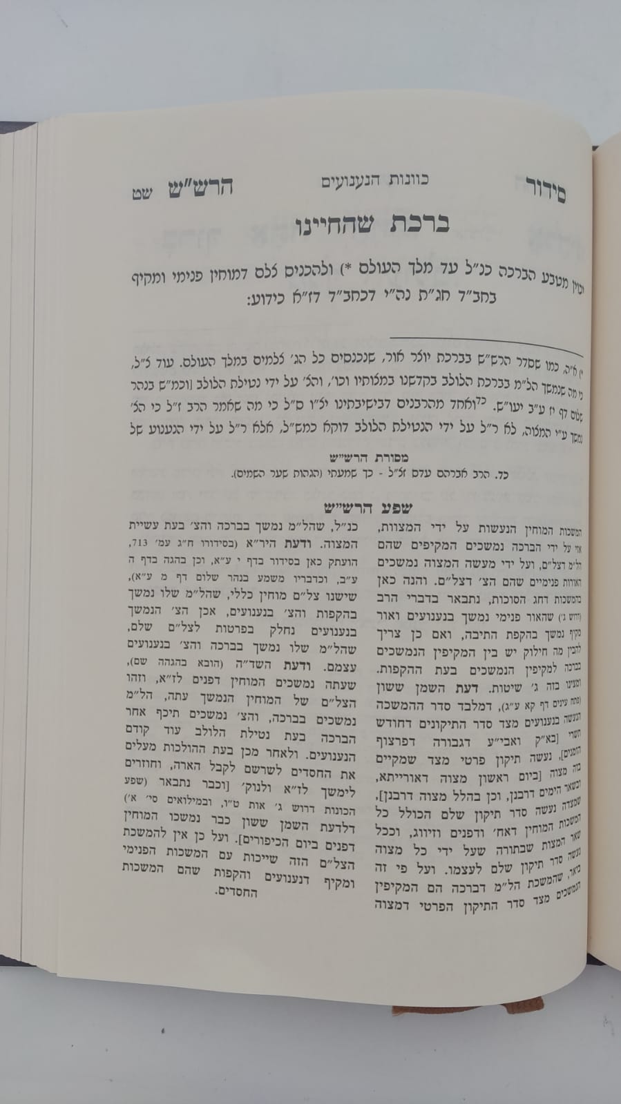 שער הכוונות - עם פירוש טיב הכוונות סוכות • סידור הרש"ש סוכות - עם פירוש טיב הרש"ש / הרב גמליאל הכהן רבינוביץ
