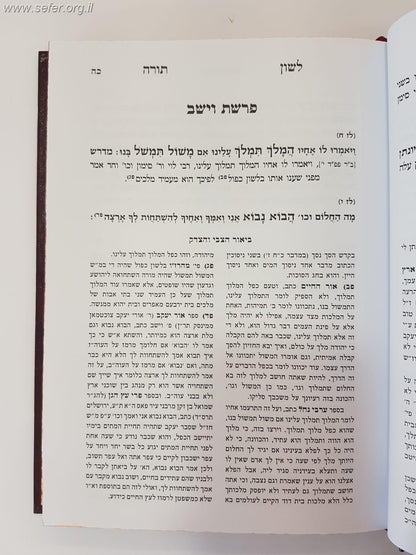 לשון תורה - על כפל הלשונות בתורה - עם ביאור הצבי והצדק / מכון בני שלשים