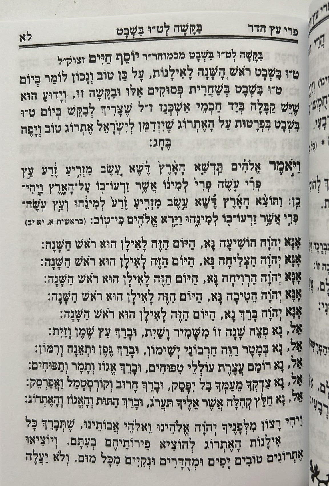 פרי עץ הדר - סדר הלימוד לטו' בשבט