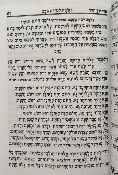 פרי עץ הדר - סדר הלימוד לטו' בשבט