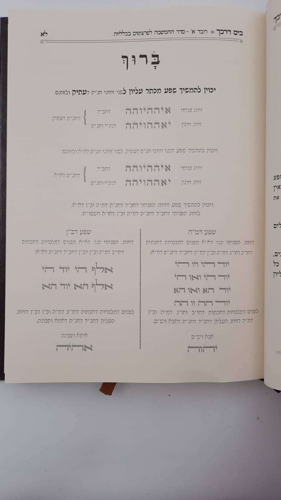 בים דרכך - יסודות פנימיות הקבלה / הרב י.מ מורגנשטרן