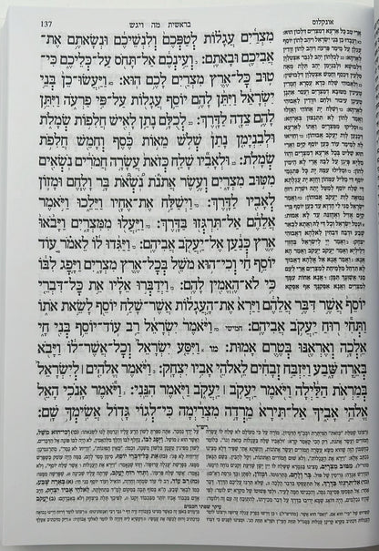 חמשה חומשי תורה למען שמו באהבה בכרך אחד / למינציה לבן