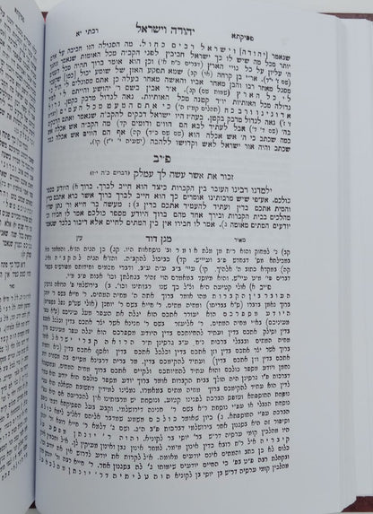 פסיקתא רבתי - עם פירוש מאיר עין / וגשל