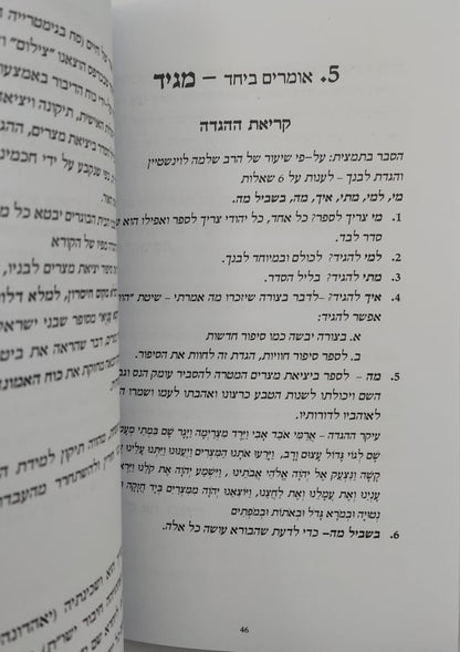 הגדה של פסח - הגדה לפסח כולל כוונות מכתבי האר"י וספר הזוהר / יחזקאל נגר