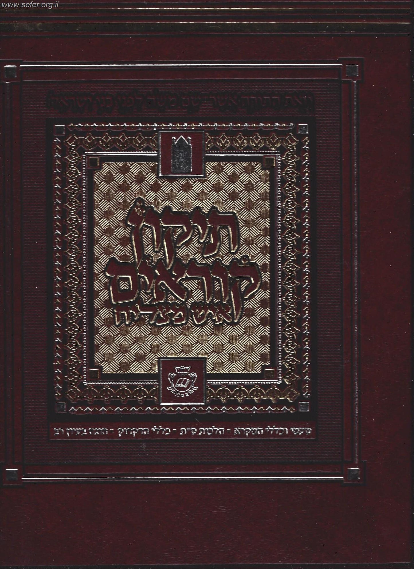 תיקון קוראים המדוייק איש מצליח פורמט ענק