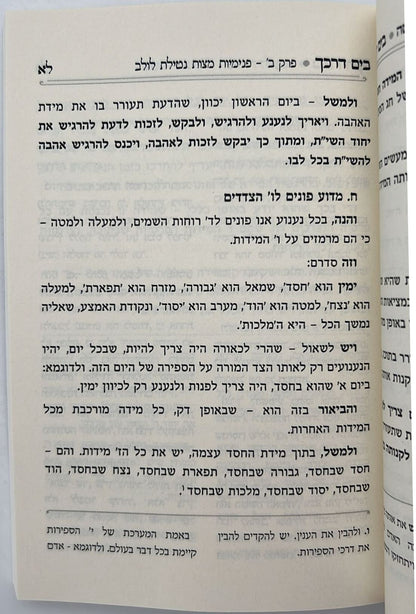 בים דרכך - ביאור פנימיות עבודת המועדים - סוכות הושענא רבה שמחת תורה / הרב י.מ מורגנשטרן