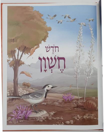 מעגל השנה ד' כרכים - צ. רוזנברג / דפי למינציה