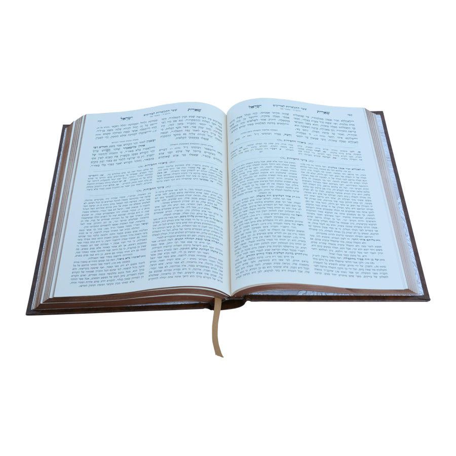 שארית ישראל המבואר