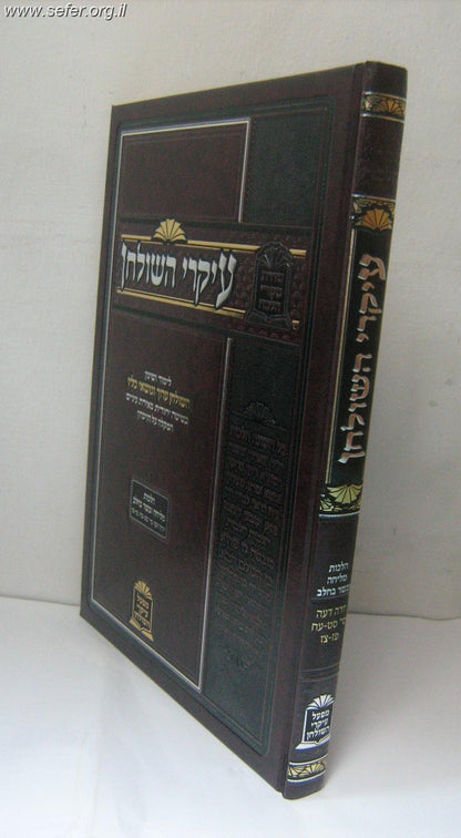 עיקרי השולחן הלכות ביקור חולים ואבלות