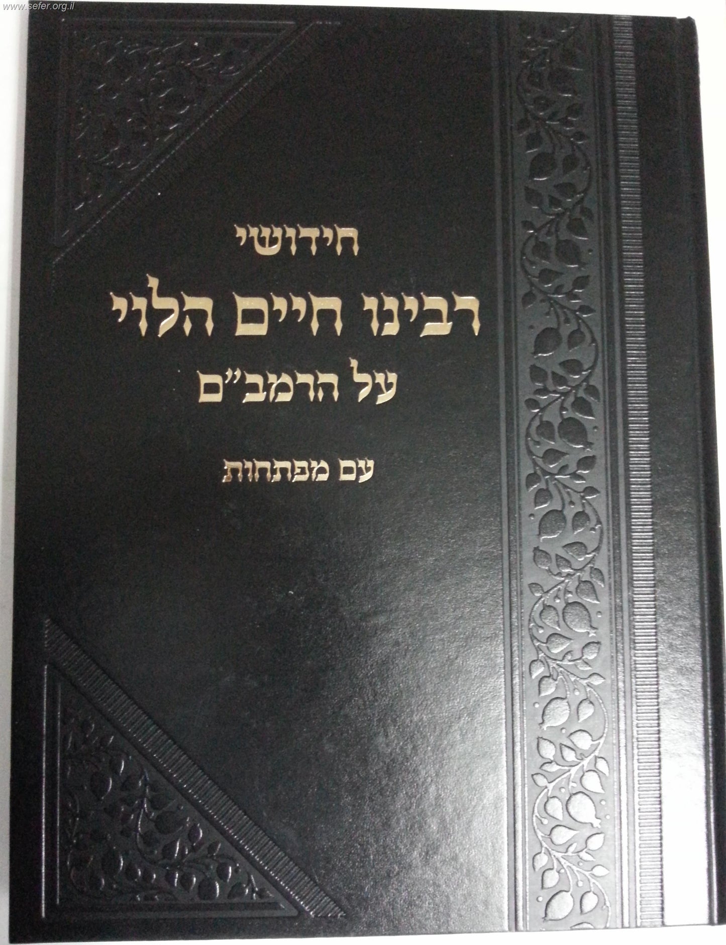 חידושי רבינו חיים הלוי על הרמב''ם