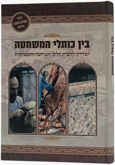 בין כותלי המשחטה / מדריך להכרת הליכי השחיטה התעשייתית