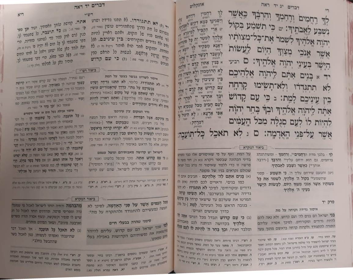 חמשה חומשי תורה שפה ברורה ה' כרכים (כריכה כחולה) / עוז והדר