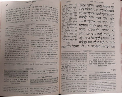 חמשה חומשי תורה שפה ברורה ה' כרכים (כריכה כחולה) / עוז והדר