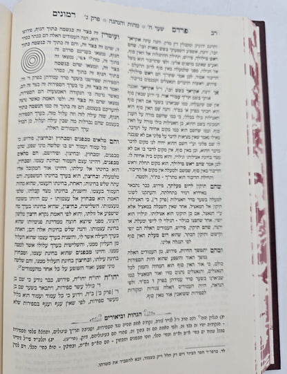 פרדס רימונים להרמ"ק / אהבת שלום