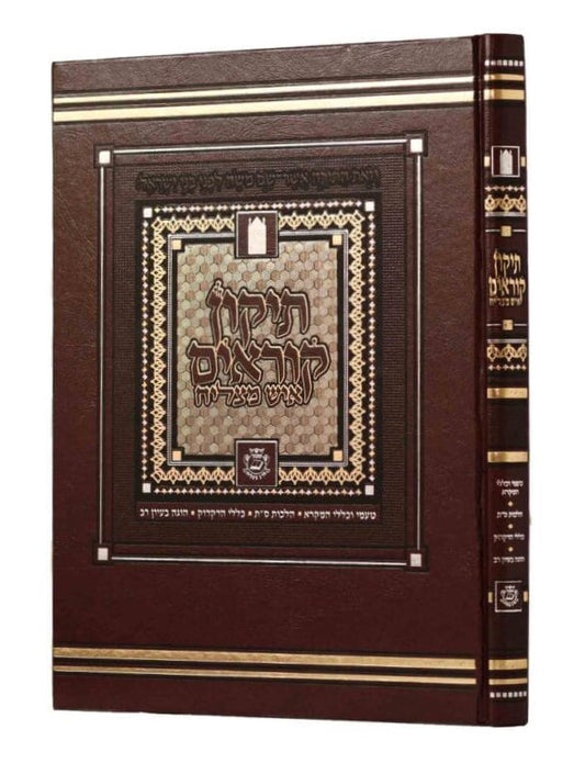 תיקון קוראים איש מצליח גדול המדוייק