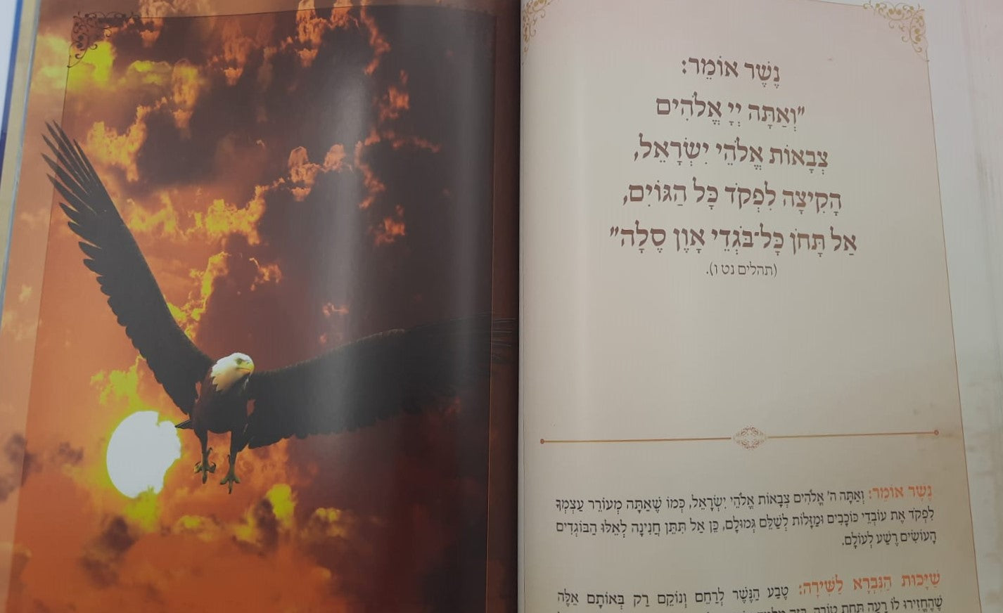 פרק שירה - עם ביאור הפסוקים ושייכות הנברא לשירה / פורמט ענק