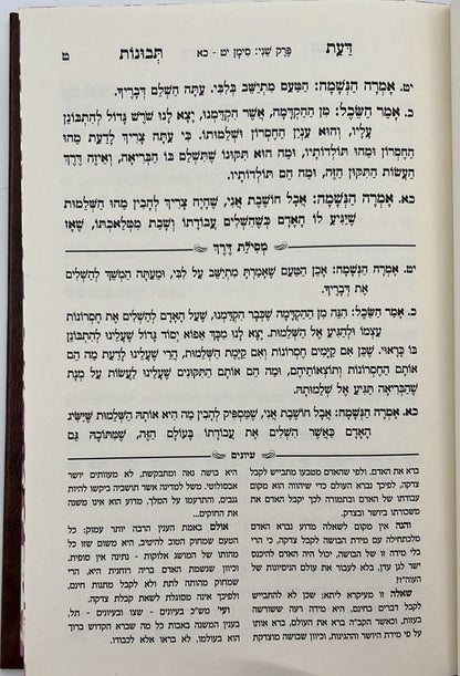 דעת תבונות לרמח"ל המבואר - עם ביאור מסילת דרך / הרב מרדכי הלוי פיש