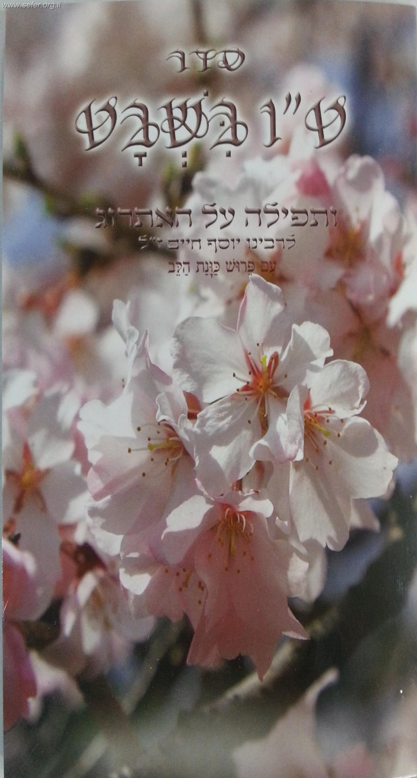 סדר טו' בשבט - כונת הלב פורמט גדול