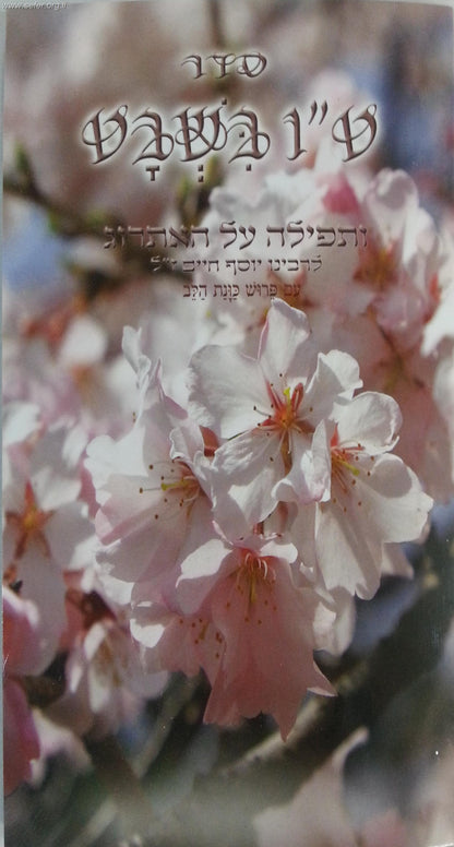 סדר טו' בשבט - כונת הלב פורמט גדול