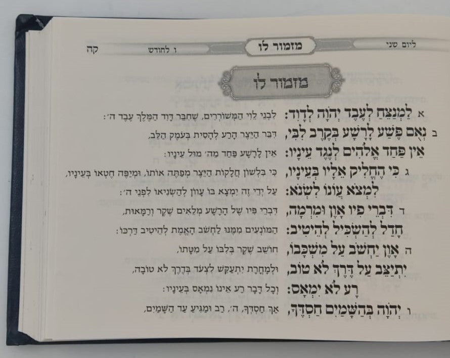 תהילים עם פירוש רהוט ובהיר - בית דוד