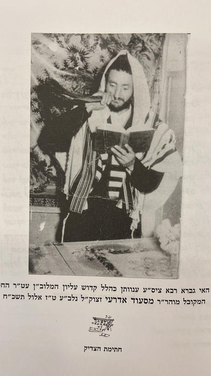 שפת אמת על התורה / הצדיק  המקובל מראש פינה - מהדורה מצומצמת !