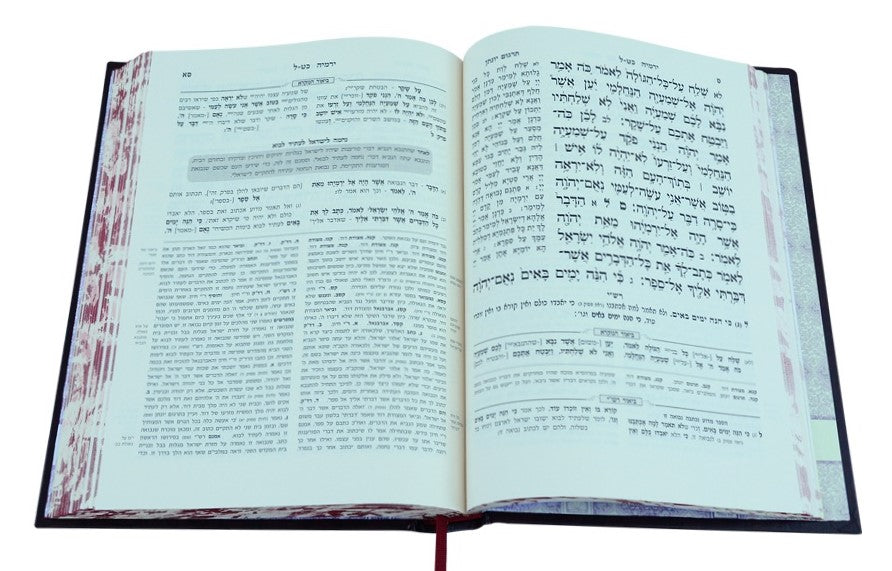 מקרא מפורש על הנ"ך - יחזקאל א' (א-כח) / עוז והדר