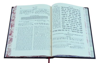 מקרא מפורש על הנ"ך - יחזקאל א' (א-כח) / עוז והדר