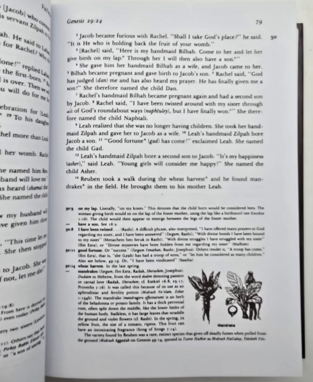 The Living Torah / Rabbi Aryeh Kaplan -  ליוינג תורה אנגלית